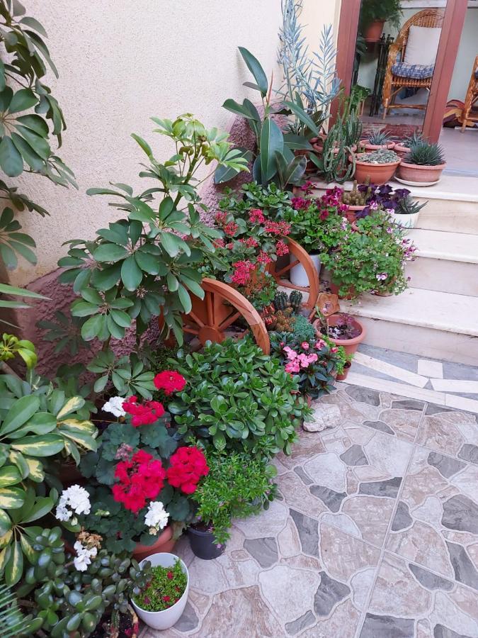 Vila Kodra Тирана Екстериор снимка